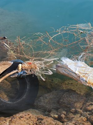 Pollution in Sea